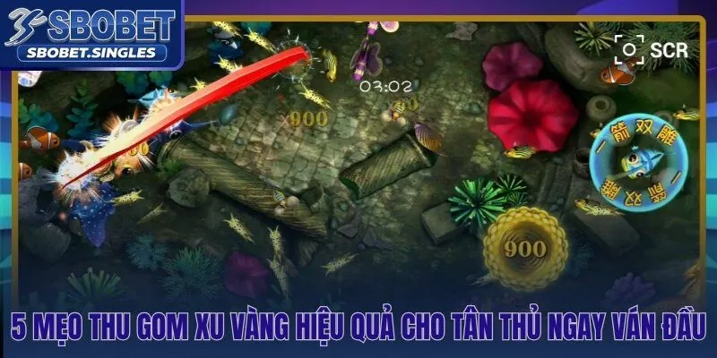 5 mẹo thực chiến từ Happy Fishing Sbobet xu về nhanh hơn ngay ván đầu