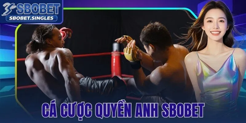 Cá Cược Quyền Anh Sbobet