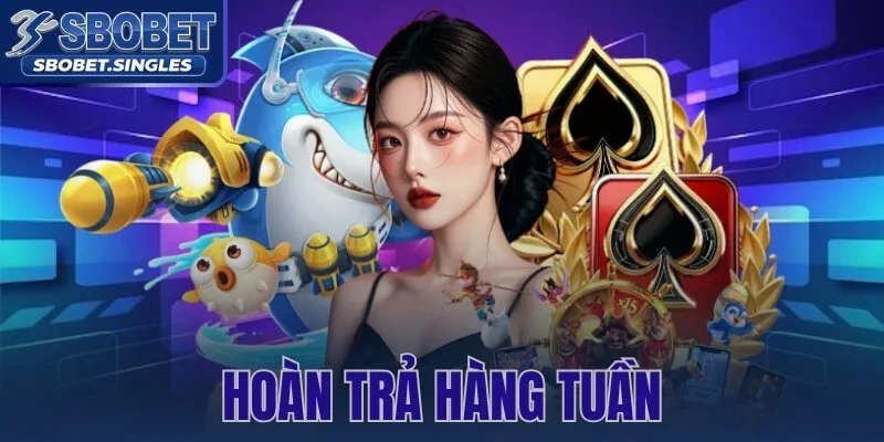 Hoàn Trả Hàng Tuần