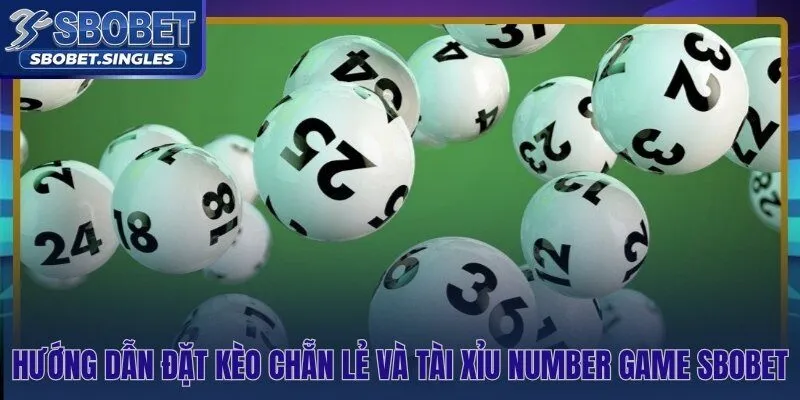 Hai loại kèo cơ bản và cách tính kết quả từng vòng quay