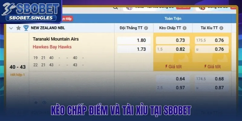 Cá cược bóng rổ Sbobet với kèo chấp điểm và Tài Xỉu chuẩn xác