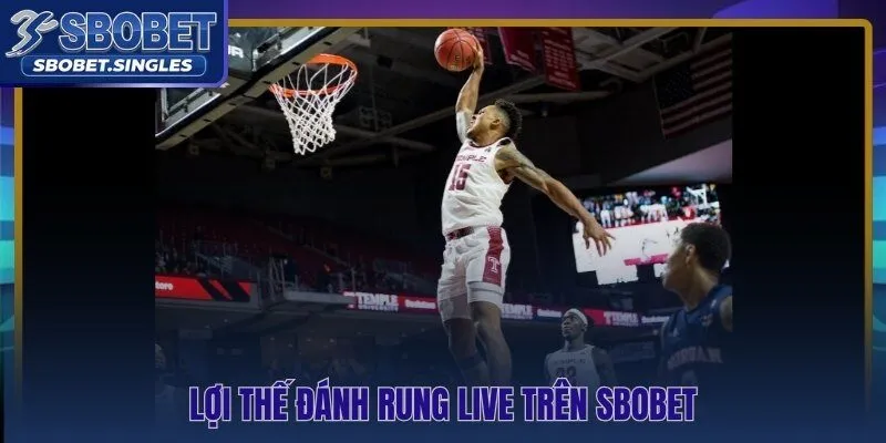 Tốc độ feed event-based và lợi thế đánh rung live NBA trên Sbobet