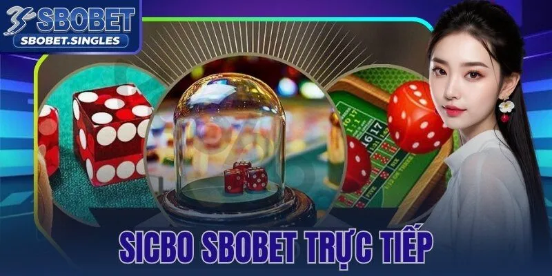 Sicbo Sbobet Trực Tiếp
