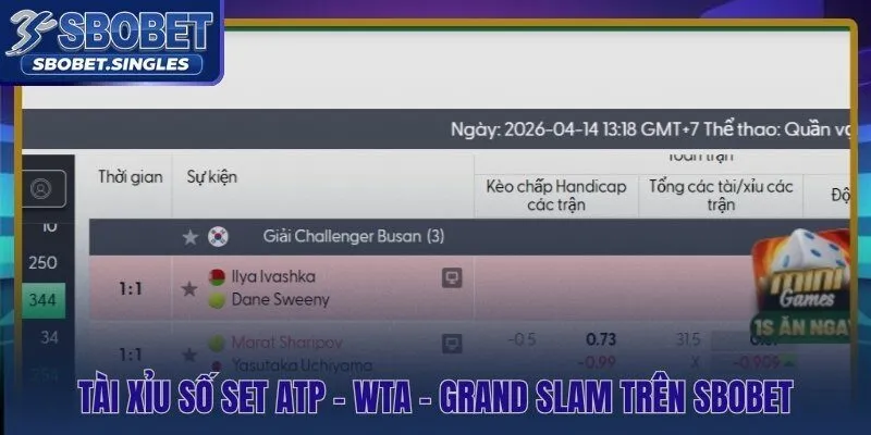 Tier giải đấu quyết định tỷ lệ Tài Xỉu Set trên Sbobet